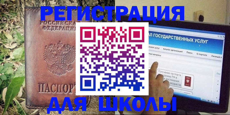 прописка для школы в Новгородской области